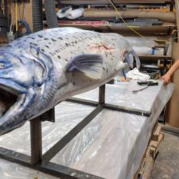 Salmon being painted