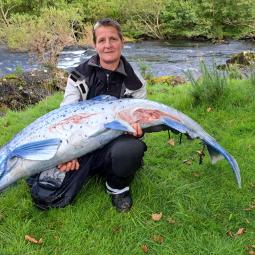 Salmon with Lead Sticky 