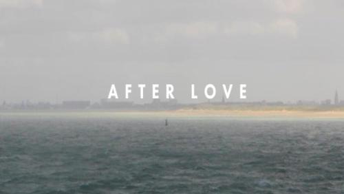 http://elementsfx.turtlereality.co.uk/sites/default/files/after_love.png