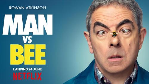 Man vs Bee